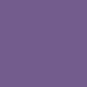 pur34_purpleiris